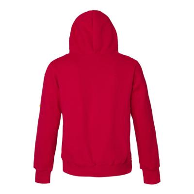 cheap ralph lauren men's hoodies cheap no. 400